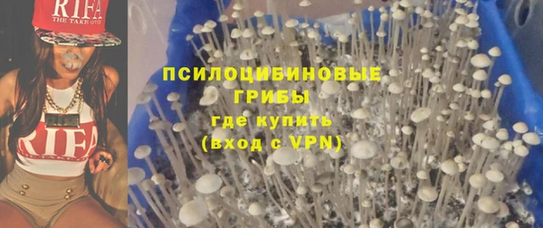 стаф Абаза