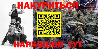 крисы Партизанск
