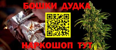 крисы Партизанск