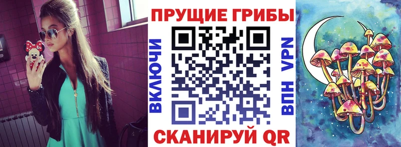 Галлюциногенные грибы ЛСД  ссылка на мегу зеркало  Сургут 