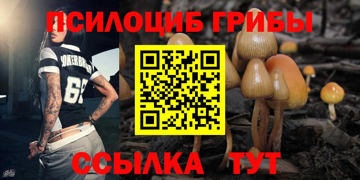 Сургут  Псилоцибиновые грибы GOLDEN TEACHER  Вход с VPN 