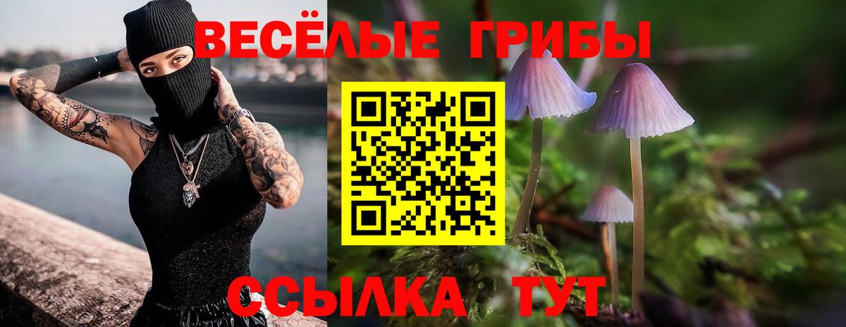 Галлюциногенные грибы мицелий Сургут